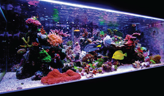 Serviço Aq. Marinho